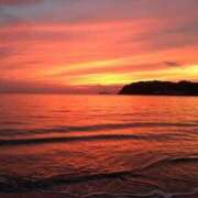 ヒメ日記 2025/05/24 16:00 投稿 高島みなみ SUMIRE