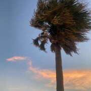 ヒメ日記 2025/06/04 16:08 投稿 高島みなみ SUMIRE