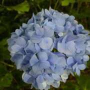 ヒメ日記 2025/06/11 13:47 投稿 高島みなみ SUMIRE