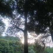 ヒメ日記 2025/06/13 16:27 投稿 高島みなみ SUMIRE