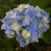 ヒメ日記 2025/06/28 16:27 投稿 高島みなみ SUMIRE