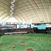 ヒメ日記 2025/07/02 15:39 投稿 高島みなみ SUMIRE