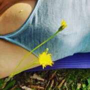 ヒメ日記 2025/07/04 15:34 投稿 高島みなみ SUMIRE