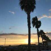 ヒメ日記 2025/07/08 09:11 投稿 高島みなみ SUMIRE