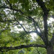 ヒメ日記 2025/07/11 15:17 投稿 高島みなみ SUMIRE