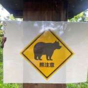 ヒメ日記 2025/09/24 15:20 投稿 高島みなみ SUMIRE