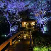 ヒメ日記 2025/10/17 15:44 投稿 高島みなみ SUMIRE