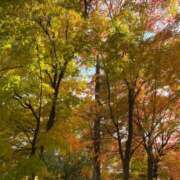 ヒメ日記 2025/11/15 16:21 投稿 高島みなみ SUMIRE