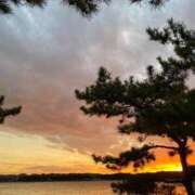 ヒメ日記 2025/11/19 16:16 投稿 高島みなみ SUMIRE