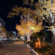 ヒメ日記 2025/12/12 15:27 投稿 高島みなみ SUMIRE