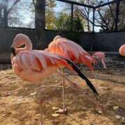 高島みなみ やめられなーい♡ SUMIRE