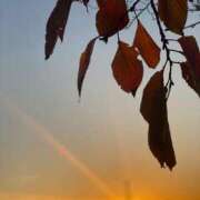 ヒメ日記 2026/02/17 16:20 投稿 高島みなみ SUMIRE