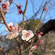 高島みなみ びっくりしたのは♡ SUMIRE