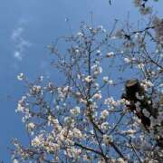 ヒメ日記 2026/03/27 15:20 投稿 高島みなみ SUMIRE