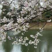 ヒメ日記 2026/03/31 15:42 投稿 高島みなみ SUMIRE