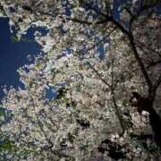 ヒメ日記 2026/04/04 16:25 投稿 高島みなみ SUMIRE