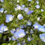 ヒメ日記 2026/04/28 15:23 投稿 高島みなみ SUMIRE