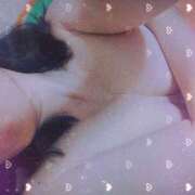 ヒメ日記 2025/04/03 13:33 投稿 まゆ 人妻倶楽部内緒の関係 成田店