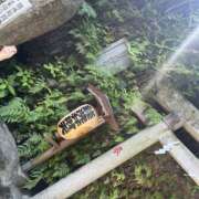 ヒメ日記 2025/06/30 17:08 投稿 有村 あなたに逢いたくて