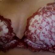 ヒメ日記 2025/03/22 15:01 投稿 つばめ 世界のあんぷり亭 柏