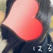 ヒメ日記 2024/12/12 16:34 投稿 はる イメクラ土浦女学園