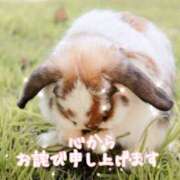 ヒメ日記 2025/03/18 16:42 投稿 ききょう 奥鉄オクテツ東京店（デリヘル市場）