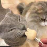 ヒメ日記 2025/06/13 16:57 投稿 すず DIVAセカンドシーズン日立店