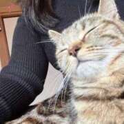 ヒメ日記 2025/05/12 04:20 投稿 すず DIVAセカンドシーズン