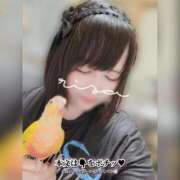 ヒメ日記 2024/12/17 12:17 投稿 りさ 京都祇園・南インターちゃんこ