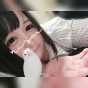 ヒメ日記 2025/04/12 07:01 投稿 りさ 京都祇園・南インターちゃんこ