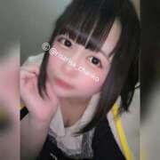 ヒメ日記 2025/11/14 23:01 投稿 りさ 京都祇園・南インターちゃんこ