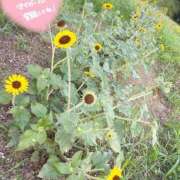 ヒメ日記 2025/07/08 15:04 投稿 りく CLUB DEEP