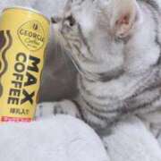 ヒメ日記 2025/02/28 09:08 投稿 さくや やまとなでしこ 豊橋店～人妻エロエロ星人～