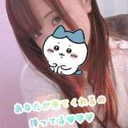 ヒメ日記 2025/02/28 15:38 投稿 さくや やまとなでしこ 豊橋店～人妻エロエロ星人～