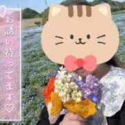 ヒメ日記 2025/05/13 20:20 投稿 さくや やまとなでしこ 豊橋店～人妻エロエロ星人～