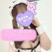 ヒメ日記 2025/10/09 12:12 投稿 さくや やまとなでしこ 豊橋店～人妻エロエロ星人～