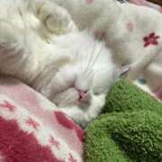 ヒメ日記 2025/11/29 00:01 投稿 さくや やまとなでしこ 豊橋店～人妻エロエロ星人～