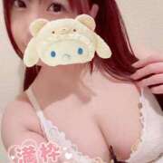 ヒメ日記 2025/12/29 10:05 投稿 さくや やまとなでしこ 豊橋店～人妻エロエロ星人～