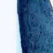 ヒメ日記 2024/12/24 08:01 投稿 かぐら ぷるるんマダム 難波店