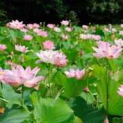 ヒメ日記 2025/01/21 07:32 投稿 かぐら ぷるるんマダム 難波店