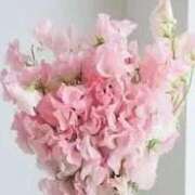 ヒメ日記 2025/02/21 16:14 投稿 かぐら ぷるるんマダム 難波店