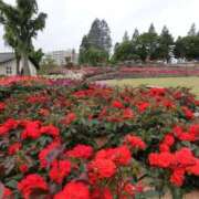 ヒメ日記 2025/05/16 13:55 投稿 かぐら ぷるるんマダム 難波店