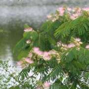 ヒメ日記 2025/06/22 10:17 投稿 かぐら ぷるるんマダム 難波店