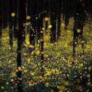 ヒメ日記 2025/06/24 19:14 投稿 かぐら ぷるるんマダム 難波店