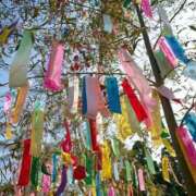 かぐら 素敵な1日を、お過ごに。 ぷるるんマダム 難波店