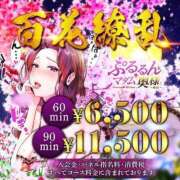 ヒメ日記 2024/04/13 14:25 投稿 るか ぷるるんマダム 難波店