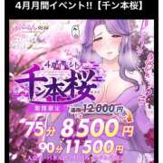 ヒメ日記 2025/04/29 12:03 投稿 るか ぷるるんマダム 難波店