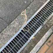 ヒメ日記 2026/02/02 12:16 投稿 るか ぷるるんマダム 難波店