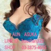 ヒメ日記 2025/03/17 13:06 投稿 飛鳥(あすか)★ 阿AUN呍(あうん)