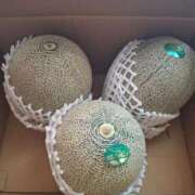 ヒメ日記 2025/06/12 17:30 投稿 飛鳥(あすか)★ 阿AUN呍(あうん)